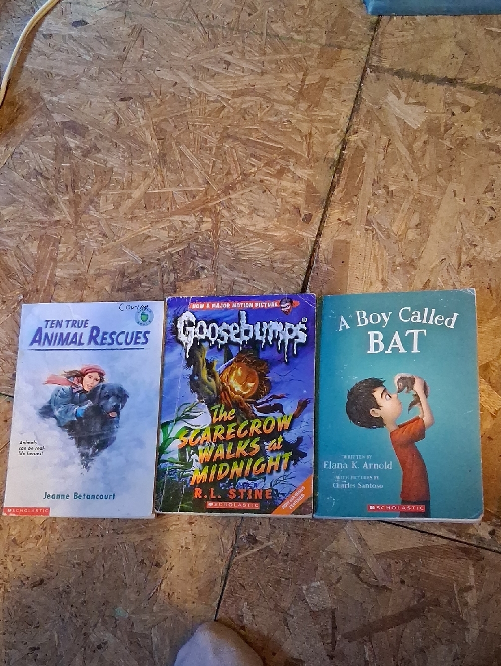 Scholastic Kids Book Lot